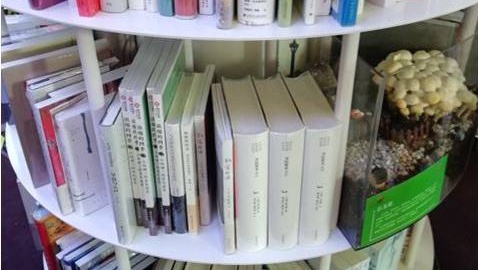 暴走魔都上海,暴走上海杨浦