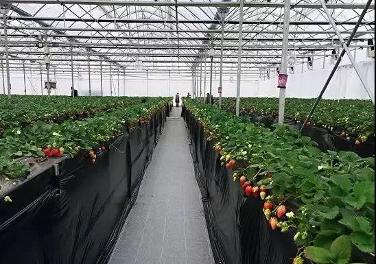 乳山白沙滩美丽乡村,怎么让村庄快速发展