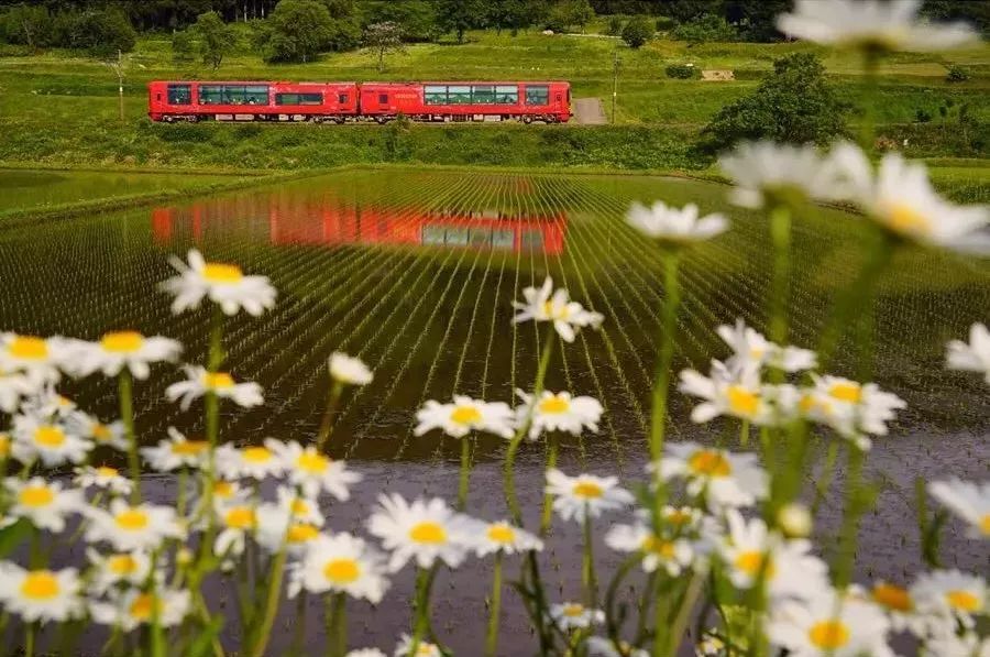 日本10条最好看电车线路,日本特急电车