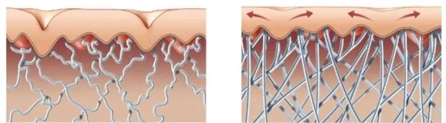 激荡三十年,激荡三十年解读