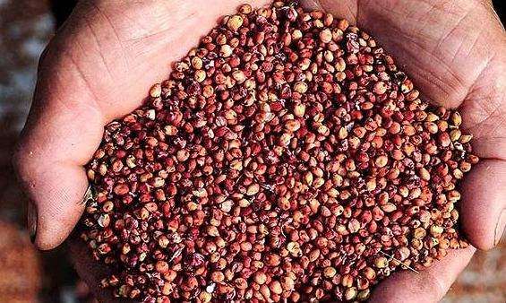 山东一品景芝哪款酒卖得最好,十大公认好喝白酒一品景芝