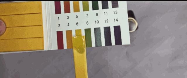 团|你的头发一根都不许掉!用它,还能3天不洗头依然干爽不油腻