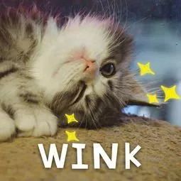 川大学习日常,川大的食宿条件