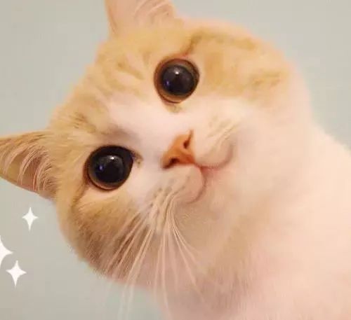 成都四七九是怎么学习的,成都四七九谁的题最难