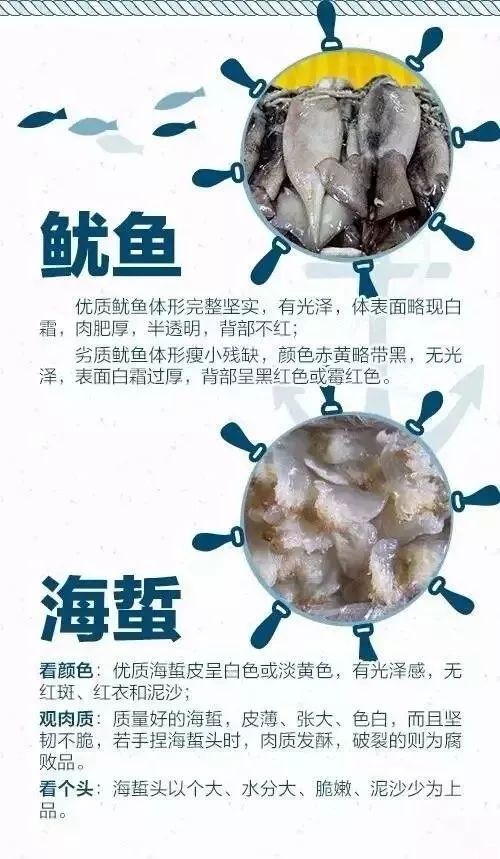 开海买海鲜攻略,开海了一般市场海鲜什么时候便宜