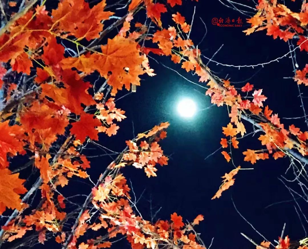 朱光潜谈读书的一段话,朱光潜谈读书认为该读怎么样的书