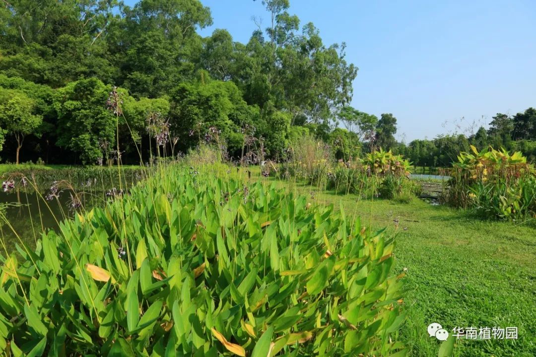 鏂扮煡鏂拌В,鏂扮煡鏂拌