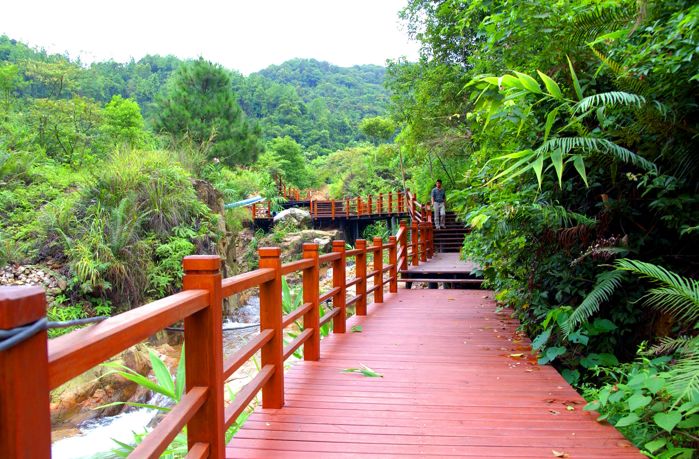 权威发布|这样的花都，太上头了！