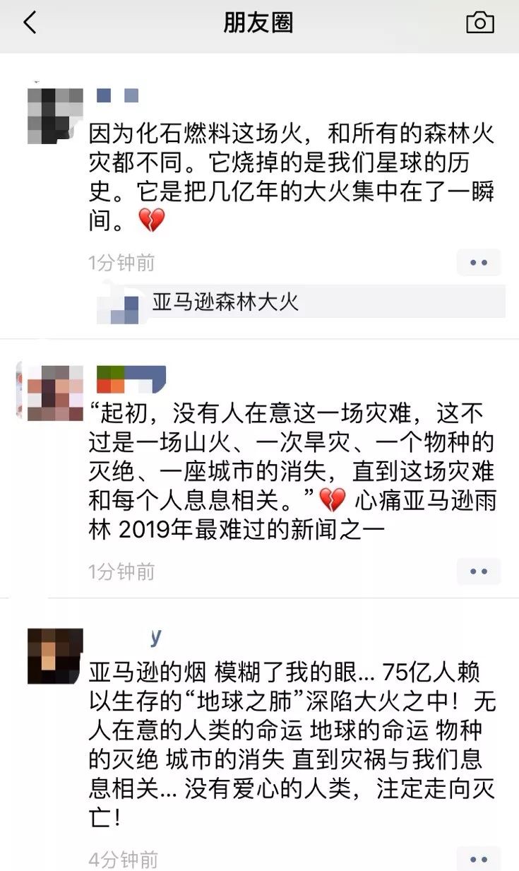 回归大自然呼吸天然氧吧,回归大自然清新空气