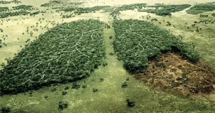 回归大自然呼吸天然氧吧,回归大自然清新空气