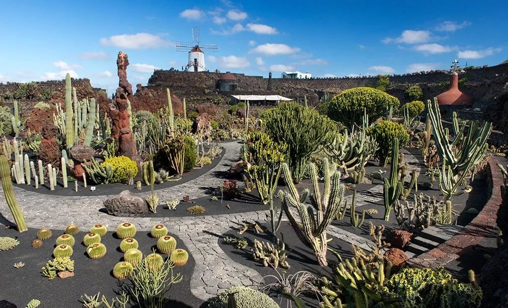 秋天来临前的预兆,秋天来临之前