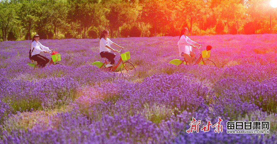 甘肃跨了哪几个气候区,甘肃有哪一些地理气候特色