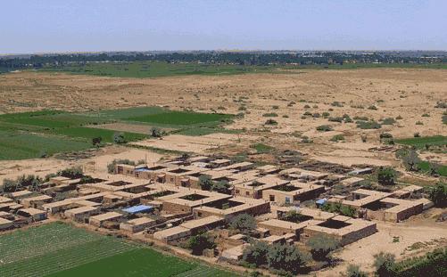 闪购|秋季滋补哪家强？当令食材之铁棍山药、板栗南瓜可以有