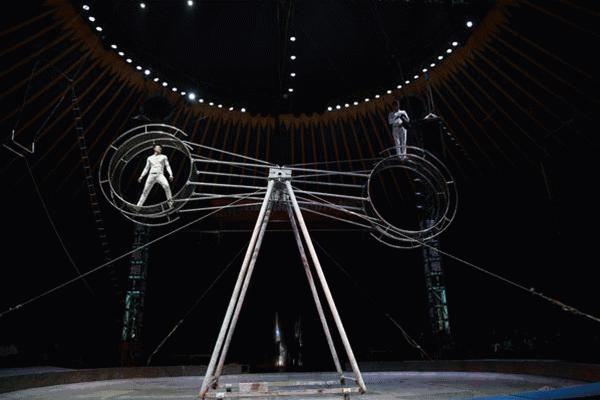 平湖免费景点推荐一下,平湖周边最近的动物园