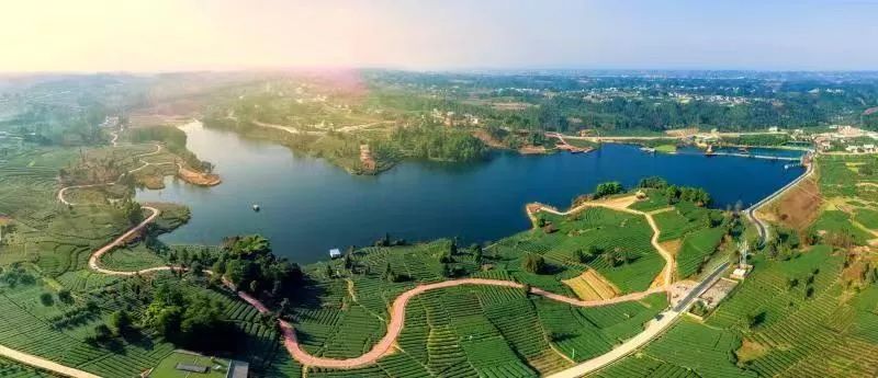 桂花节2019,月亮湖桂花节