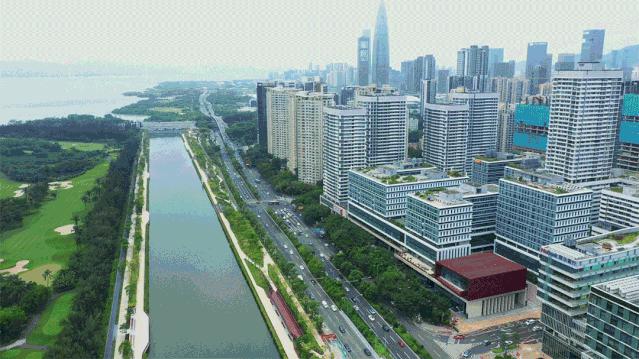 金众麒麟公馆值得买吗,深圳湾金众麒麟公馆