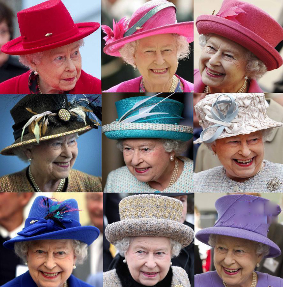 女王的柯基现在怎么样了,女王的柯基在线免费看全集完整版