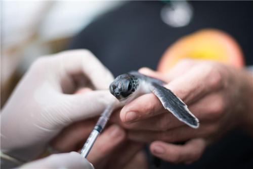 带宝宝说走就走的旅行视频,带孩子说走就走的旅行视频