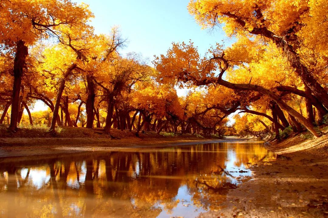 额济纳青年节旅游攻略,从巴彦淖尔市到额济纳旗旅游攻略