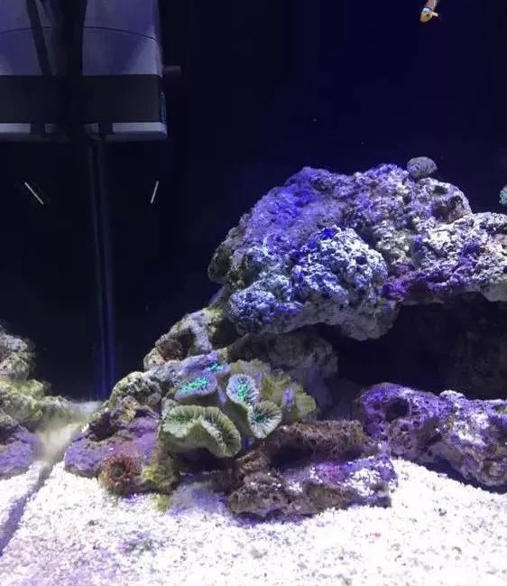 40方缸用背滤,小尺寸背滤