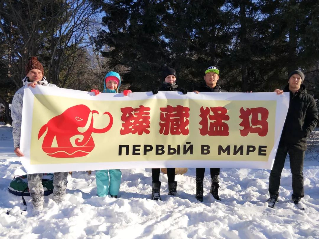 猛犸象牙收藏合法 (象牙与猛犸象牙收藏)