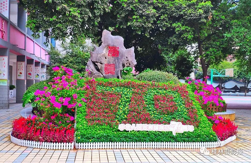 桂林市崇善小学整体样貌,桂林市崇善小学办学规模