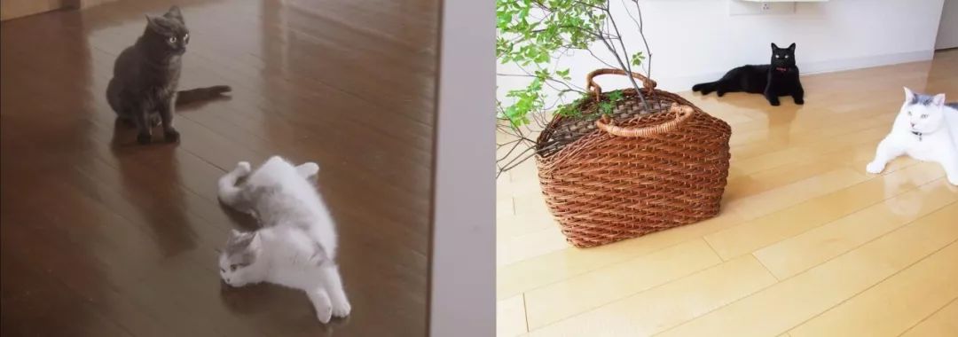 这部“变态”日剧,早该让我妈看了...