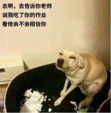 怎么可以不交作业,不交暑假作业该怎么办