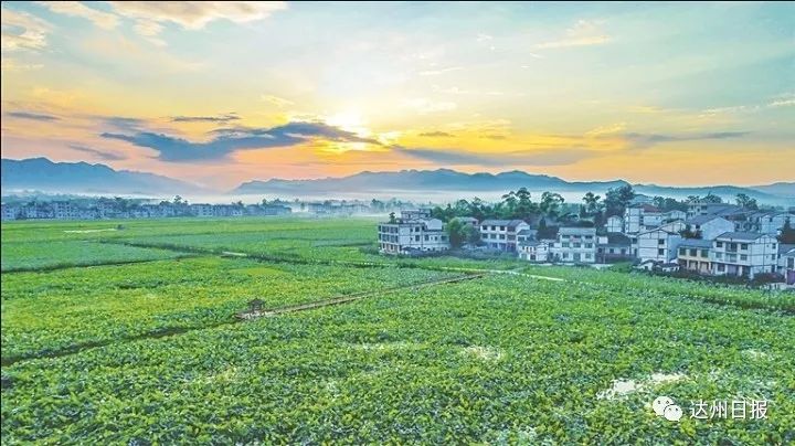 看乡村蝶变揽通川美景,惊艳的田野风光