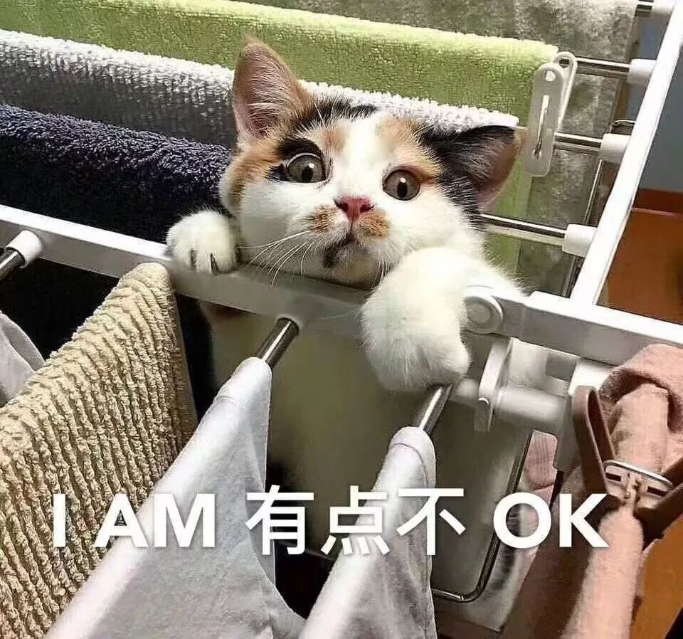 编辑部翻包|90—00的编辑们到底在用什么美妆好物?(一)(文末有福利)