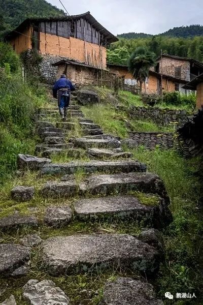 【庆祝中华人民共和国成立70周年】铅山有个“茶窝”叫平阳