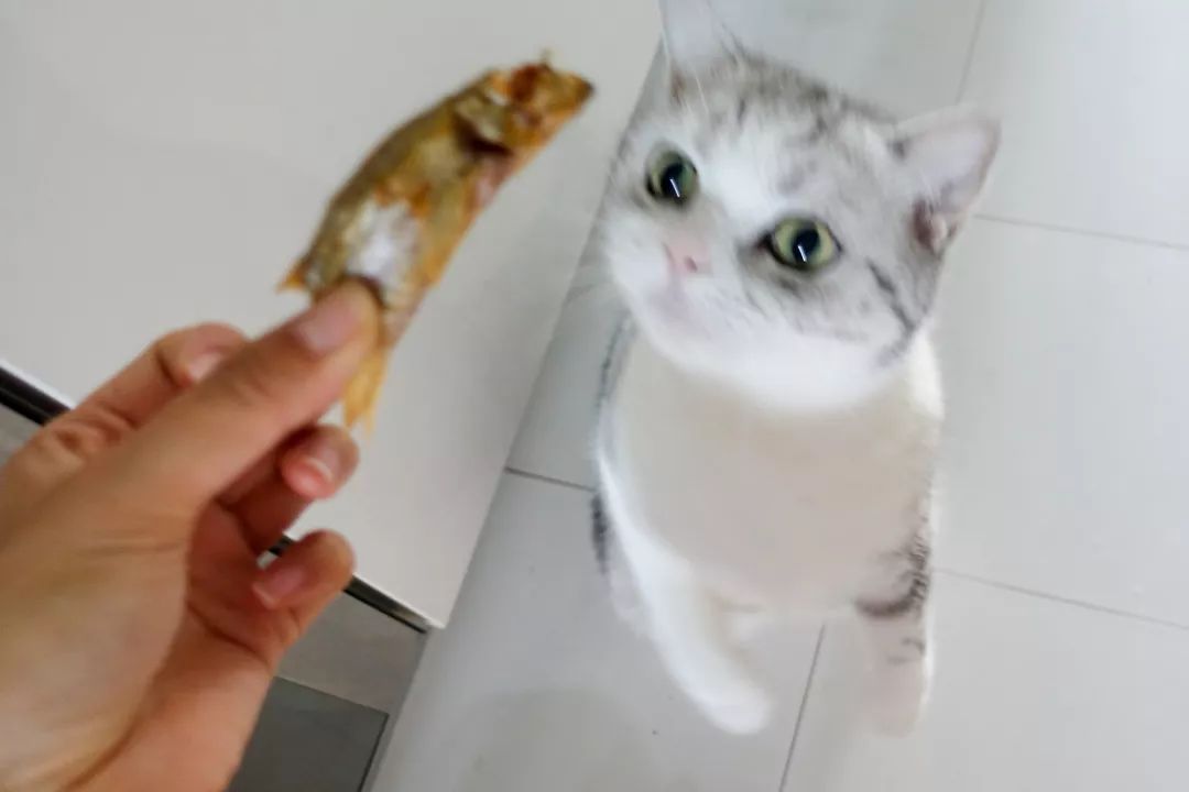 骞哥涔︾睄鎺ㄨ崘涔﹀崟,骞哥璇荤墿