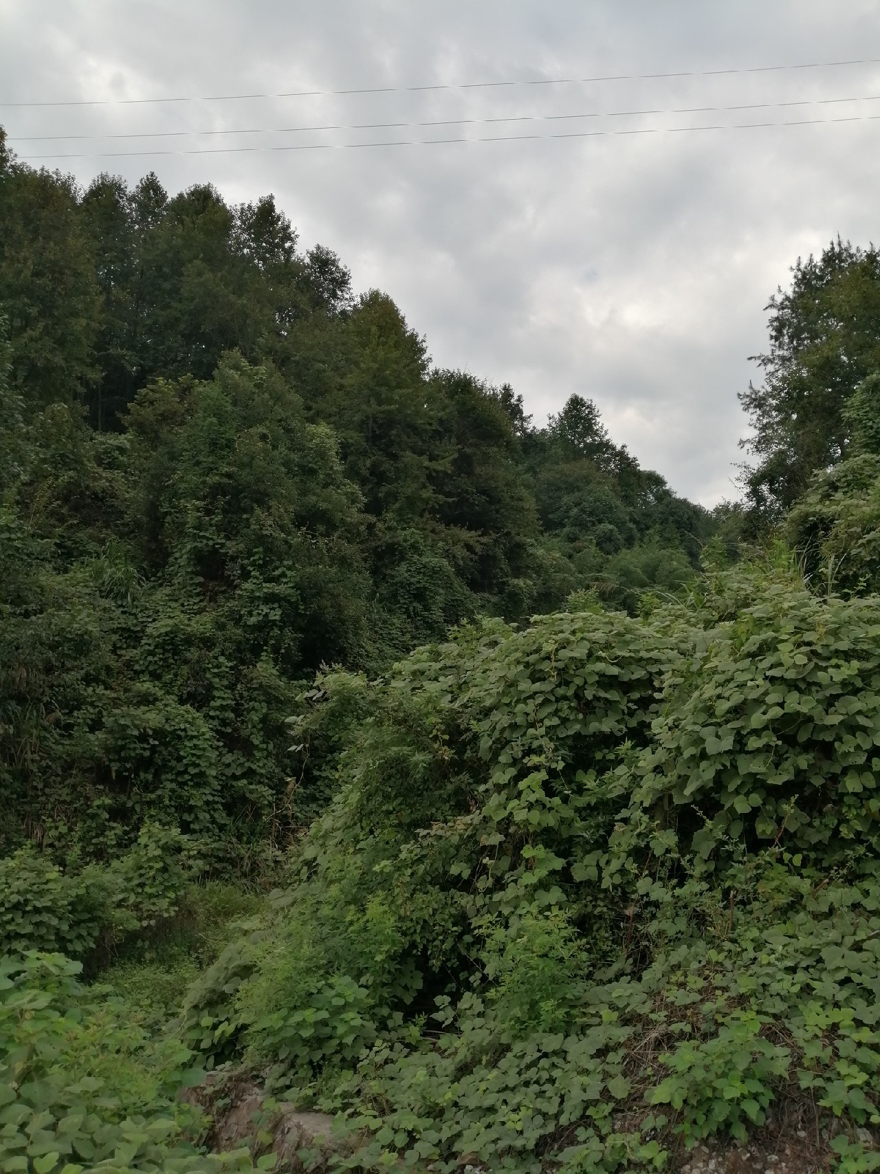 别人对你说钓鱼是什么意思,对于钓鱼各位钓友有什么看法