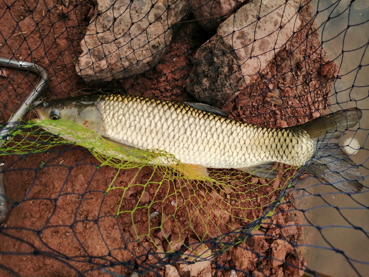 别人对你说钓鱼是什么意思,对于钓鱼各位钓友有什么看法