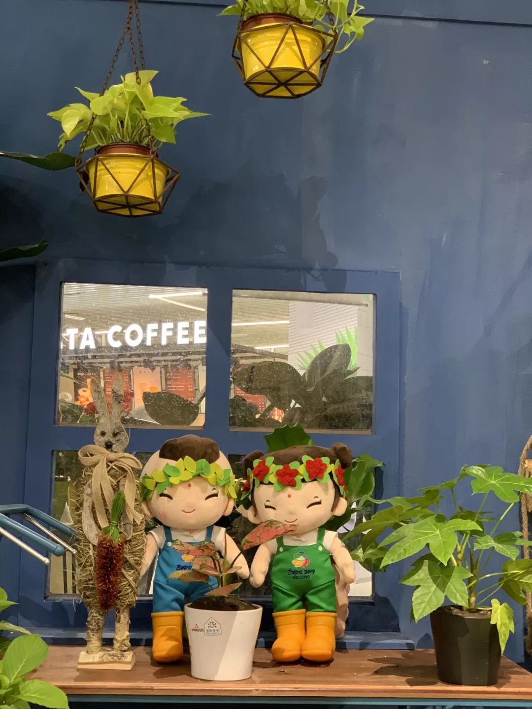 北京世园会2019小萌花,北京世园公园小萌芽