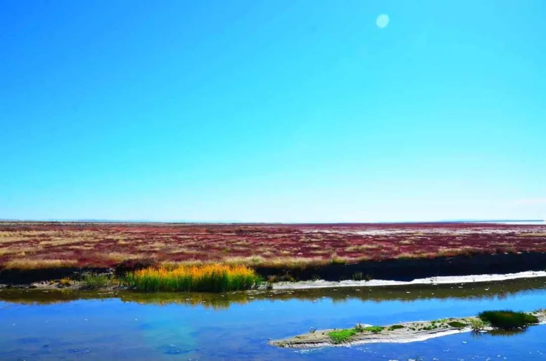 达里湖红海滩在哪里,达里湖冬捕