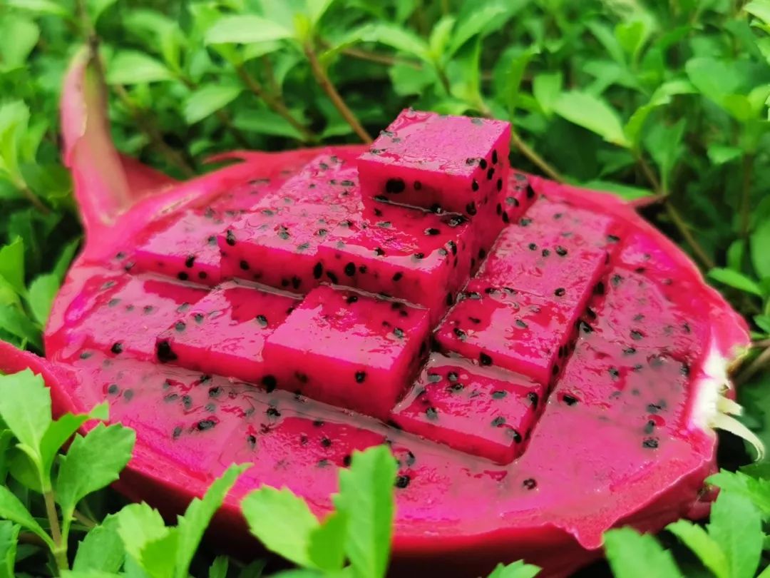 减肥届超热门必备轻食水果，高甜0酸还不发胖，一颗就饱腹