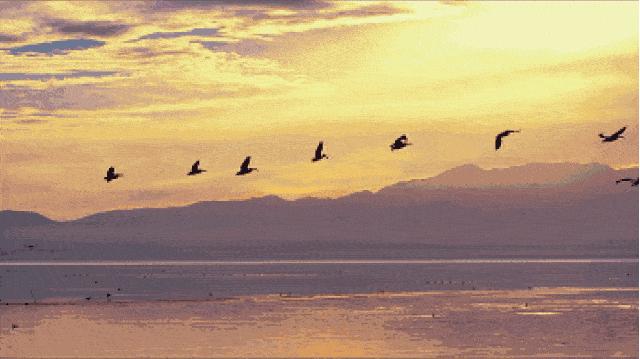 奥特莱斯被重新定义了！昆明新地标「王府井.滇池小镇」引全城弄潮鹅疯狂打call