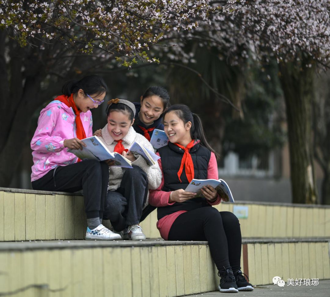 谁是最美校园，我们来竞“晒”——琅琊区创建全国文明校园先进学校风采展示