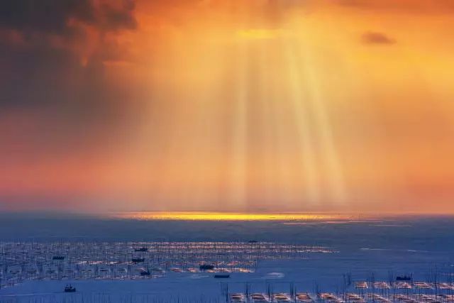 国家有什么螃蟹,国家保护的螃蟹有哪些