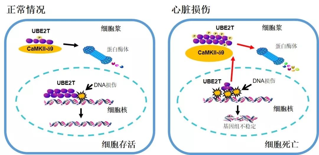 北大排名超清华,全国高校自然指数排名中北大学