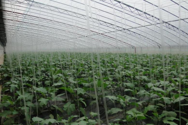 发展壮大村级集体经济工作会议,乡镇壮大集体经济典型案例