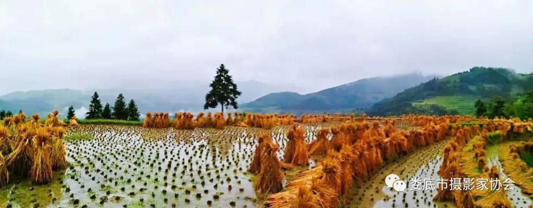 生态娄底美丽家园——【壮丽70年奋斗新时代】娄底首届风光摄影作品展览生态小品作品选登