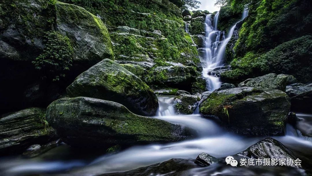 生态娄底美丽家园——【壮丽70年奋斗新时代】娄底首届风光摄影作品展览生态小品作品选登