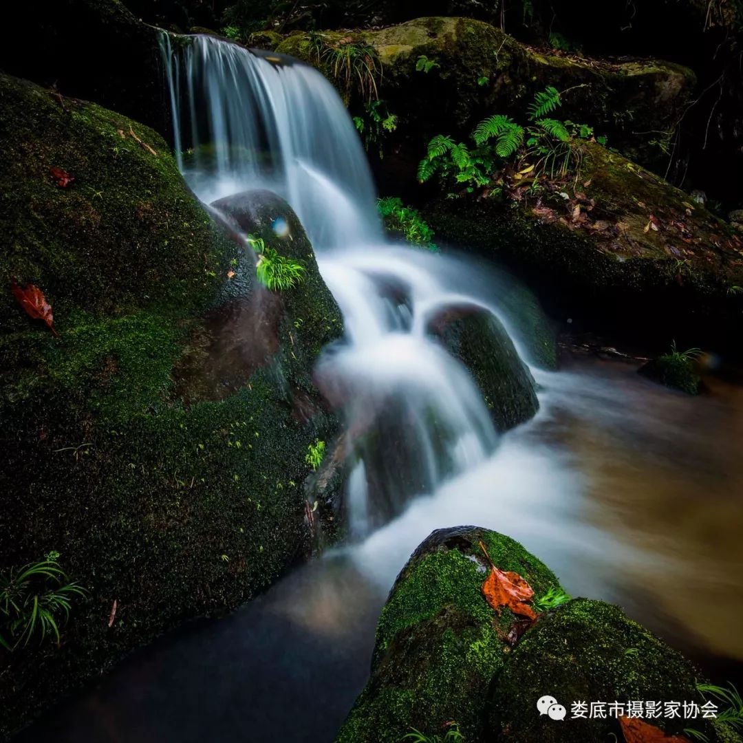 生态娄底美丽家园——【壮丽70年奋斗新时代】娄底首届风光摄影作品展览生态小品作品选登