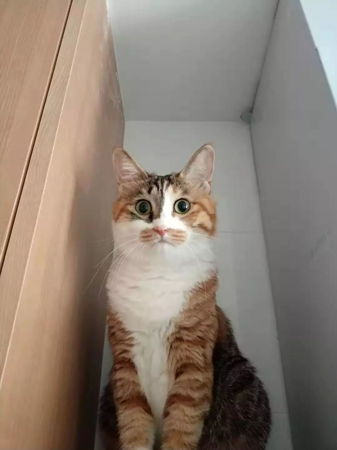 为什么有人喜欢编辑部的故事,编辑部的故事怎么说得那么有道理