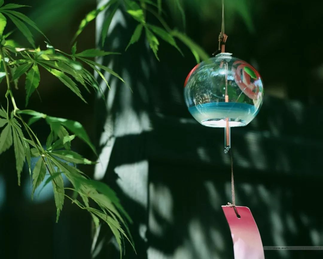 哏德全葫芦丝演奏竹楼情歌,葫芦丝哏德全100首好听歌曲