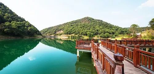 长沙这些公园颜值超高你去过几个,长沙最值得去的公园排名一览表