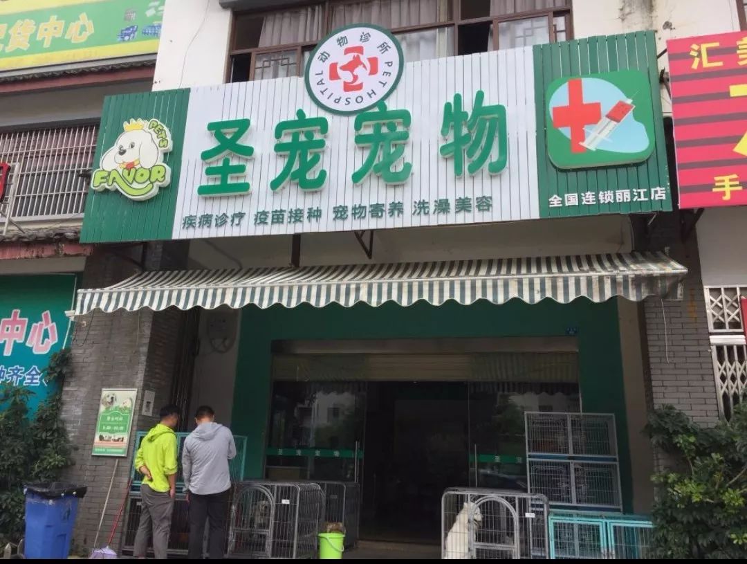 丽江宠物基地,丽江最好的宠物医院