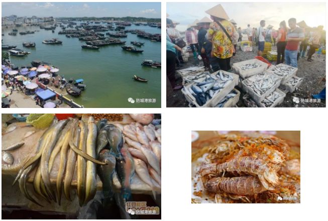 上山下海出国,上山下海出国游